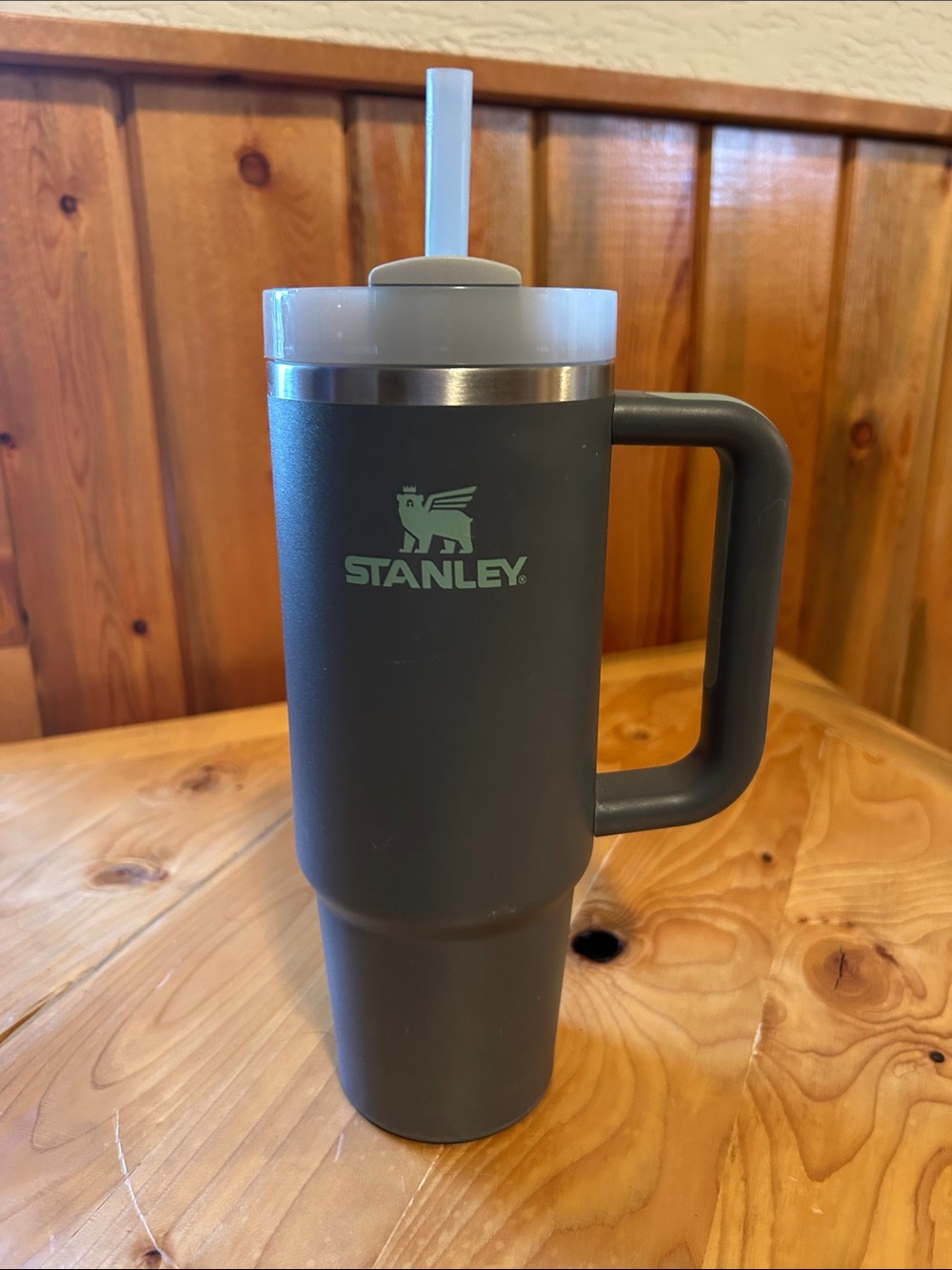 Stanley 30 oz Cup in Gray with Mint Accents